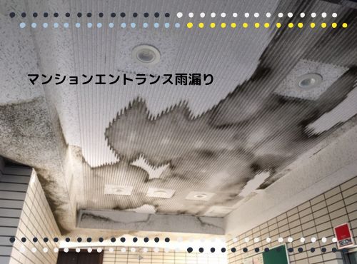 彦根市、雨漏りでシミが広がるマンションエントランスの天井を調査